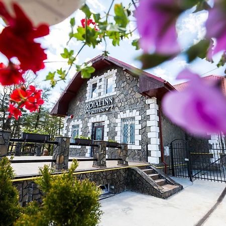 Royal Inn Busteni-Adults Only 外观 照片