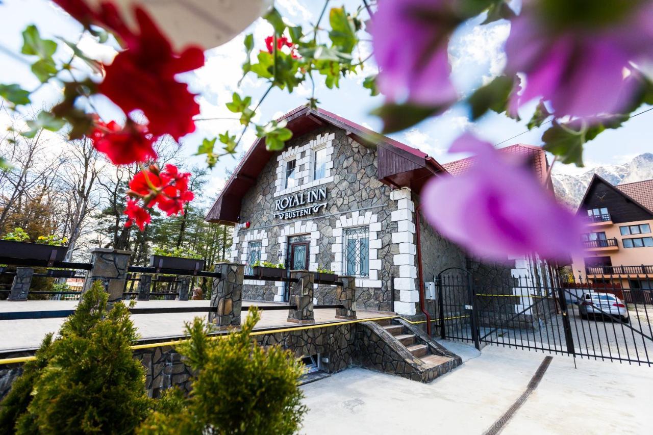 Royal Inn Busteni-Adults Only 外观 照片