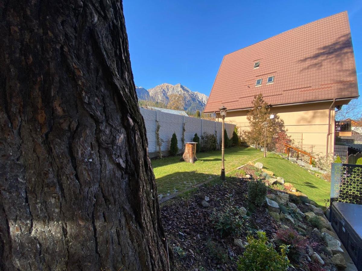 Royal Inn Busteni-Adults Only 外观 照片