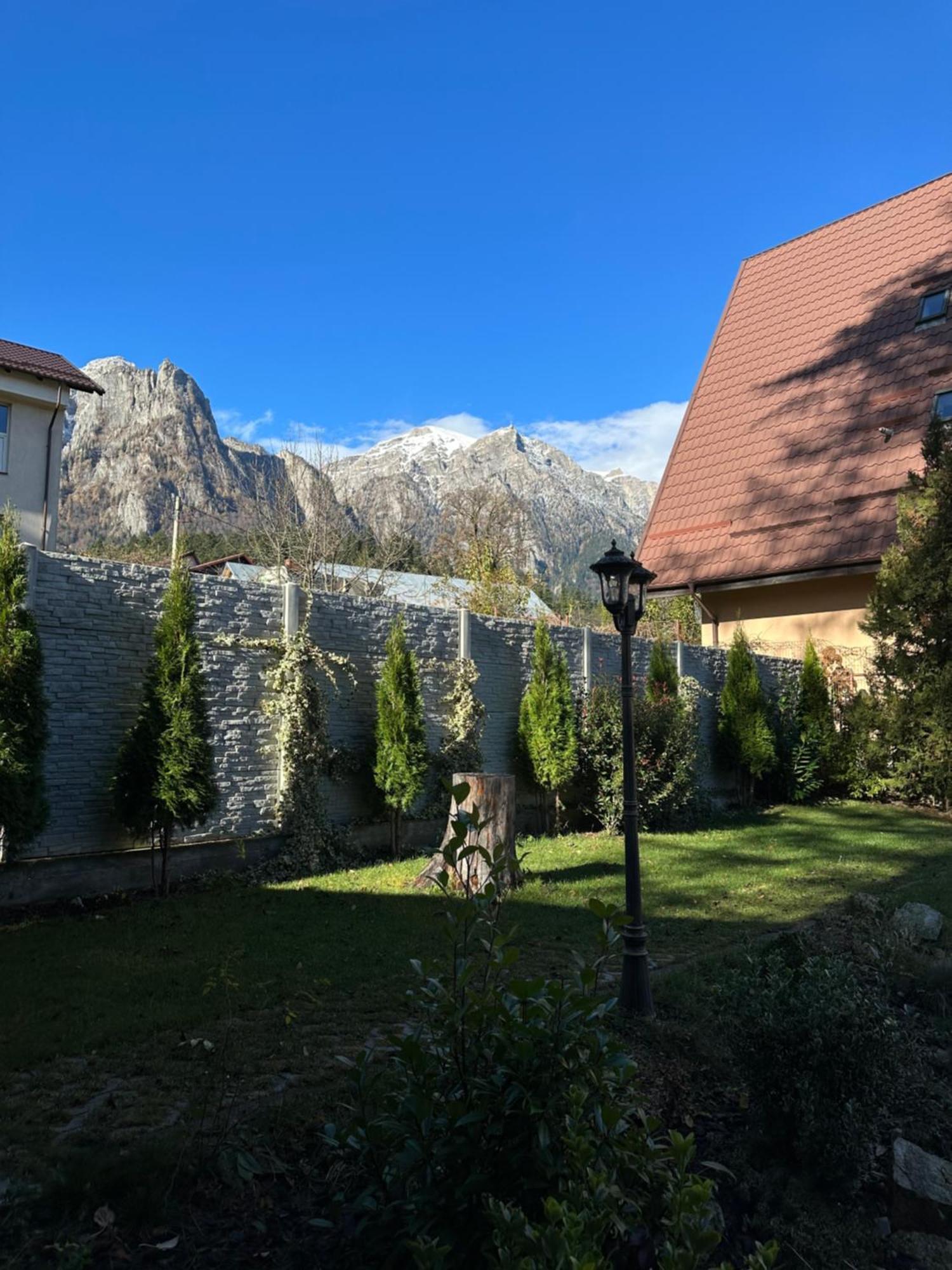 Royal Inn Busteni-Adults Only 外观 照片